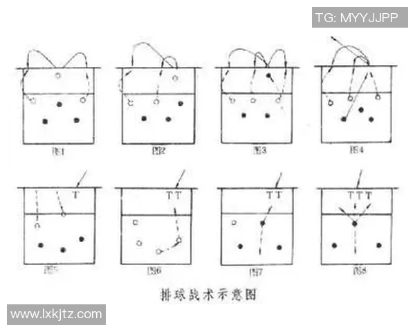 武汉排球队速度对比深度解析与战术影响探讨