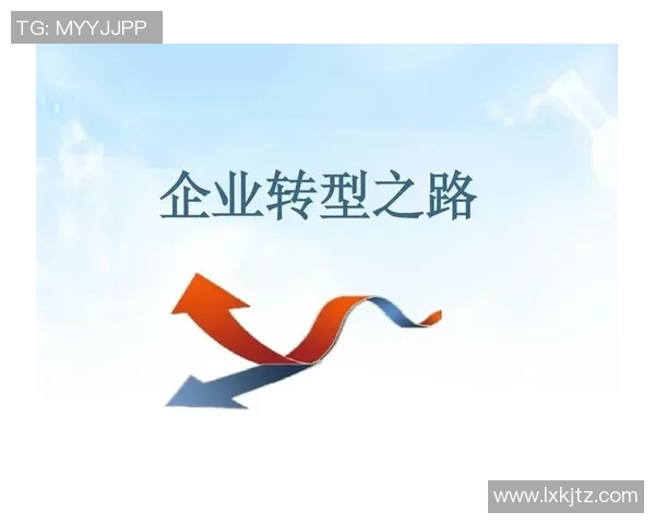 武汉排球队的转型之路:从传统强队到现代化竞技新标杆的探索与实践