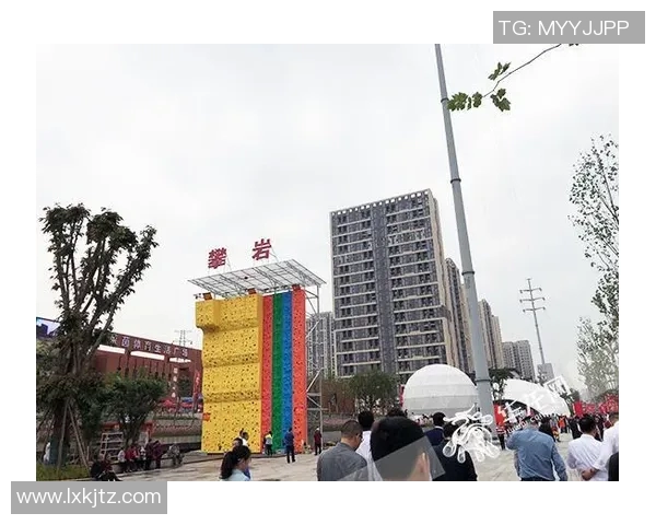 武汉攀岩队区域防守分析与战术调整的得失探讨